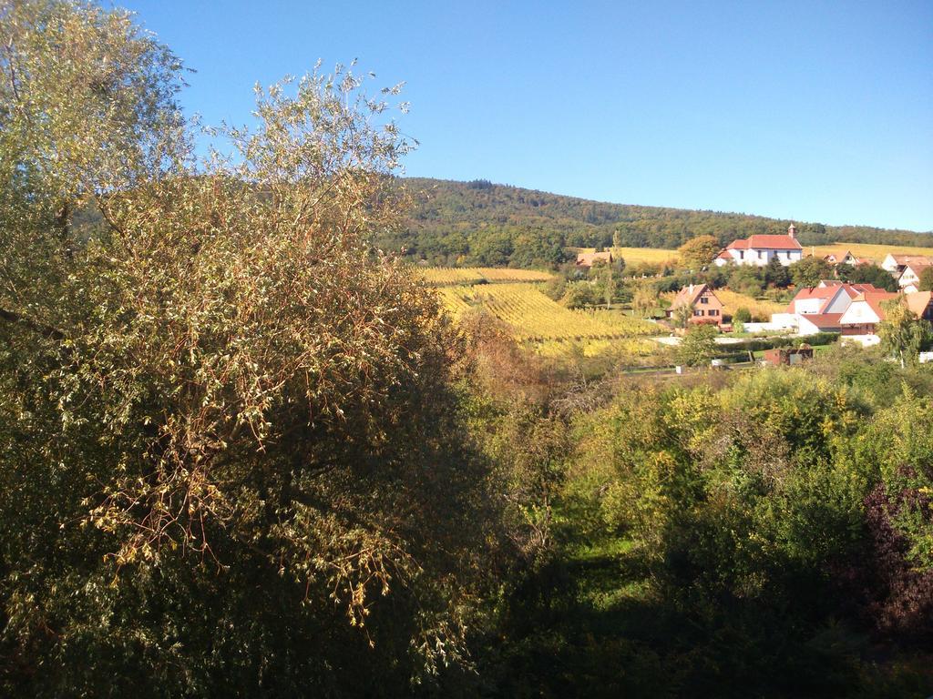 Hotel Restaurant Verger Des Chateaux, Route Des Vins Haut-Koenigsbourg Dieffenthal Esterno foto