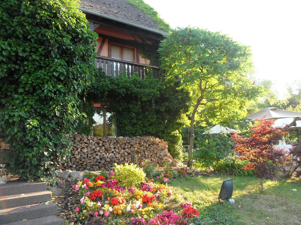 Hotel Restaurant Verger Des Chateaux, Route Des Vins Haut-Koenigsbourg Dieffenthal Esterno foto