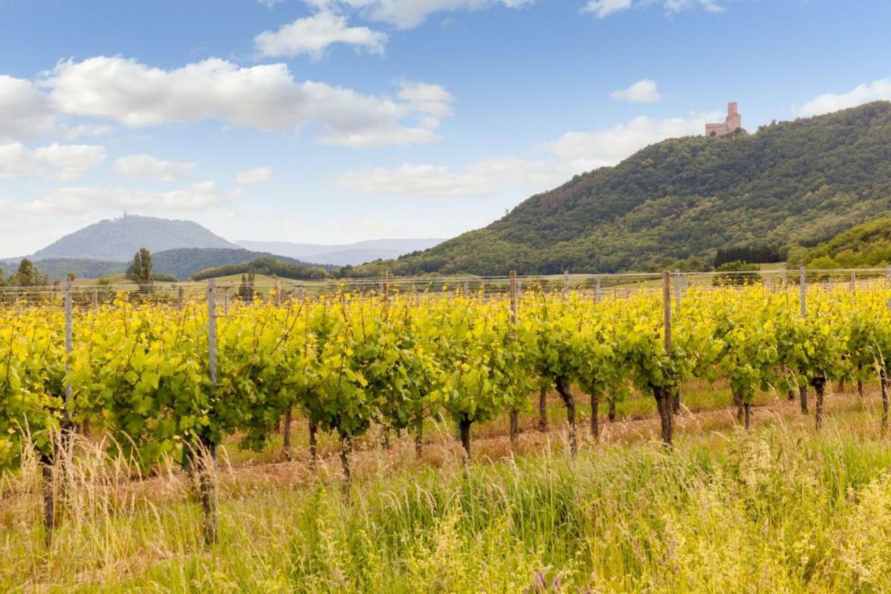 Hotel Restaurant Verger Des Chateaux, Route Des Vins Haut-Koenigsbourg Dieffenthal Esterno foto
